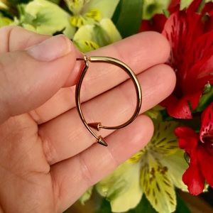 Stella & Dot earrings- 2 in 1!!